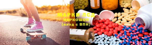 трава Белокуриха