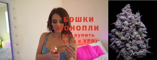 молекула духа Беломорск