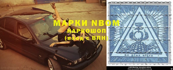трава Белокуриха