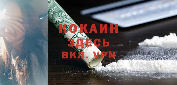 трава Белокуриха
