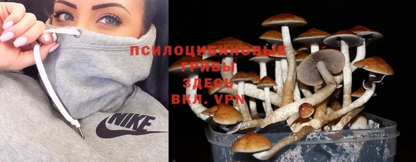 трава Белокуриха