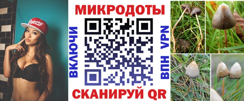 купить гидра рабочий сайт Галлюциногенные грибы Psilocybe Новоржев